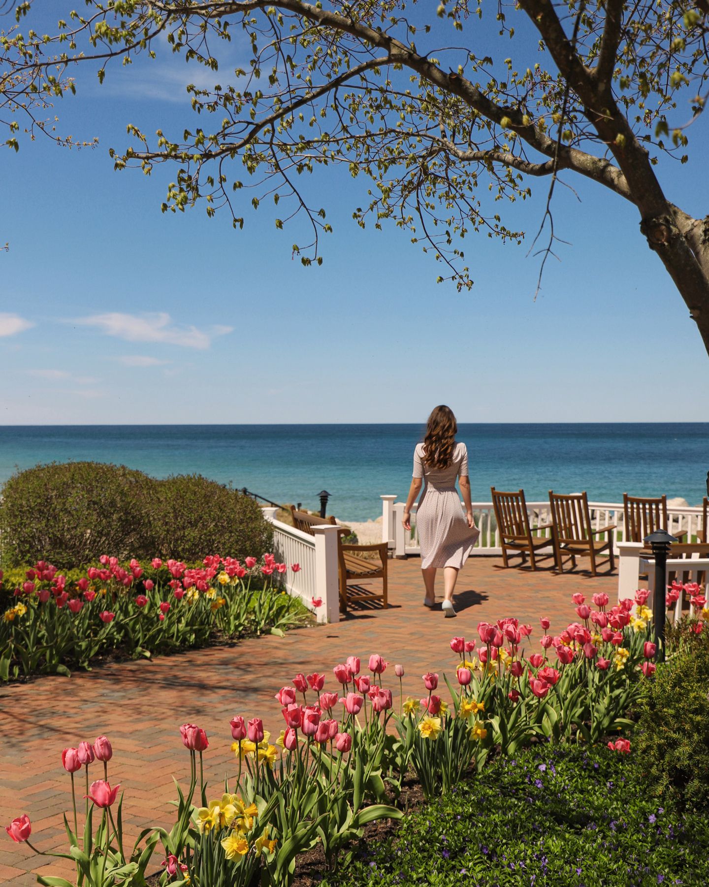 Pink spring blossoming trees, exterior of Inn at Bay Harbor