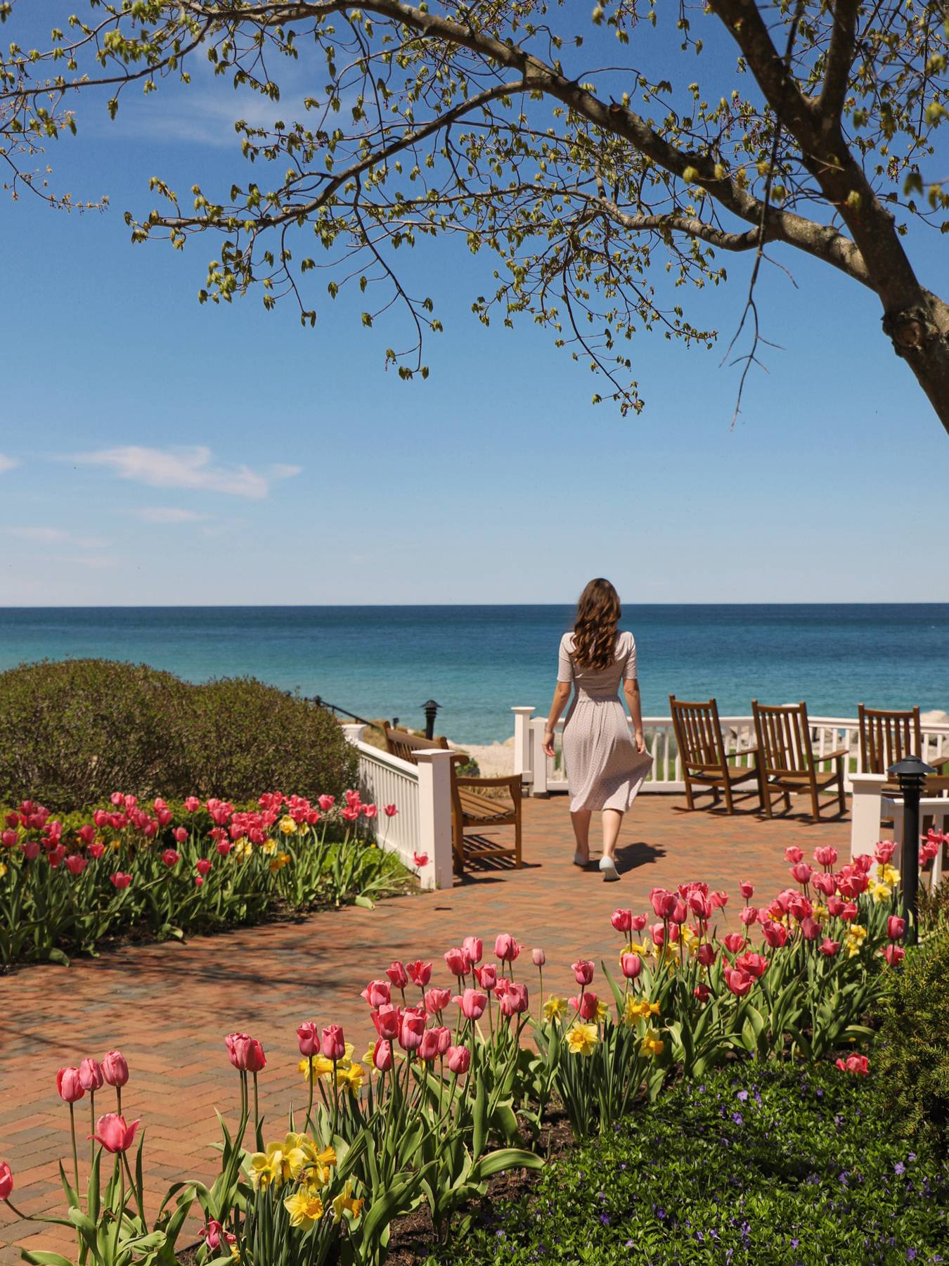 Pink spring blossoming trees, exterior of Inn at Bay Harbor