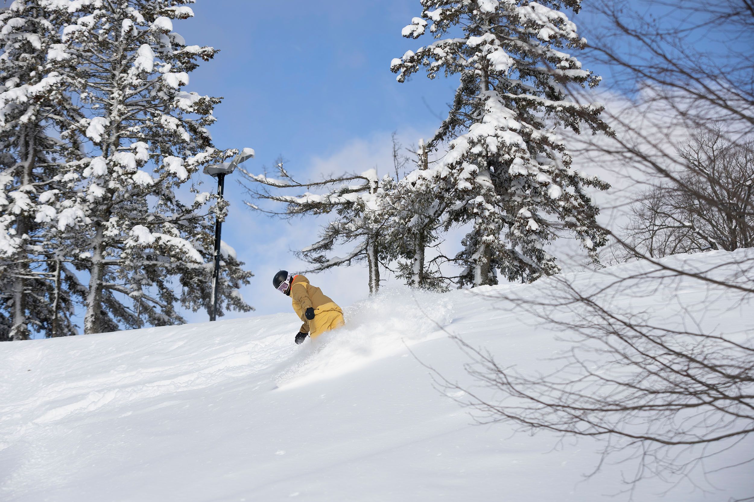 A snowboarder in powder on a bluebird day at The Highlands