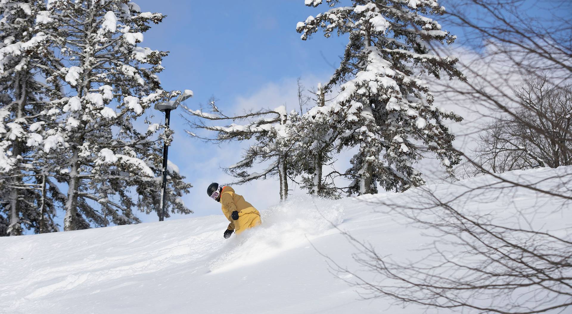 A snowboarder in powder on a bluebird day at The Highlands