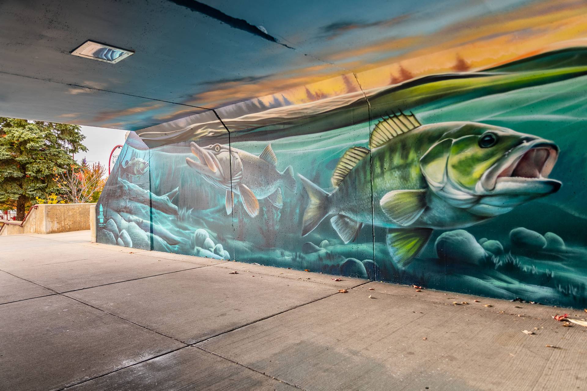 An art mural of fish