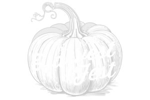 Orange The Highlands Harvest Fest Logo