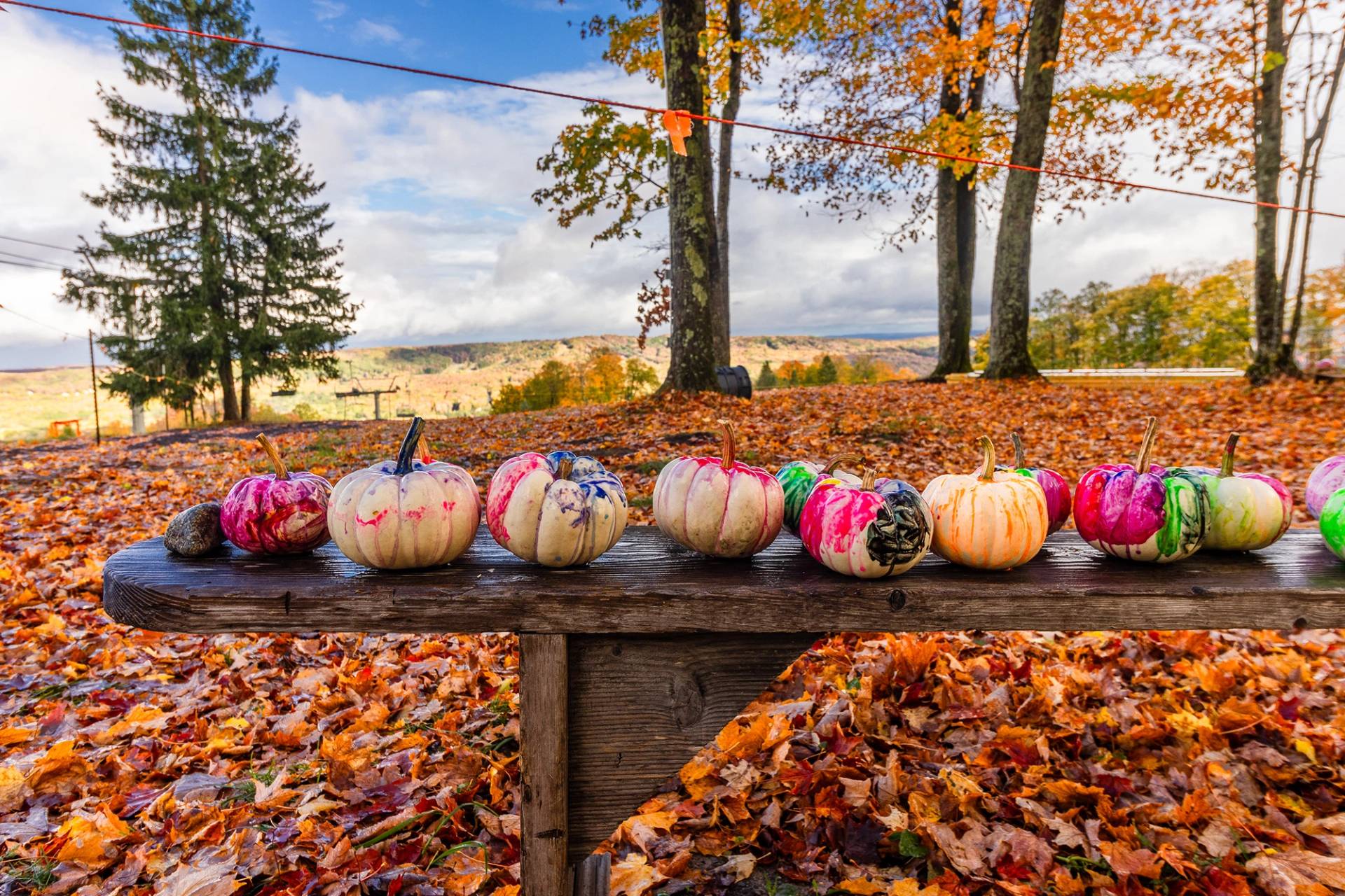 Painted pumpkins on a bench