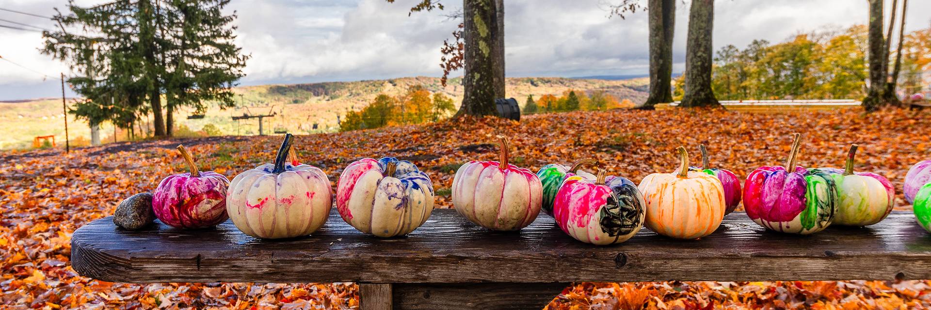 Painted pumpkins on a bench