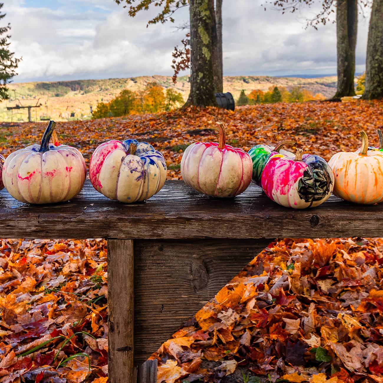 Painted pumpkins on a bench