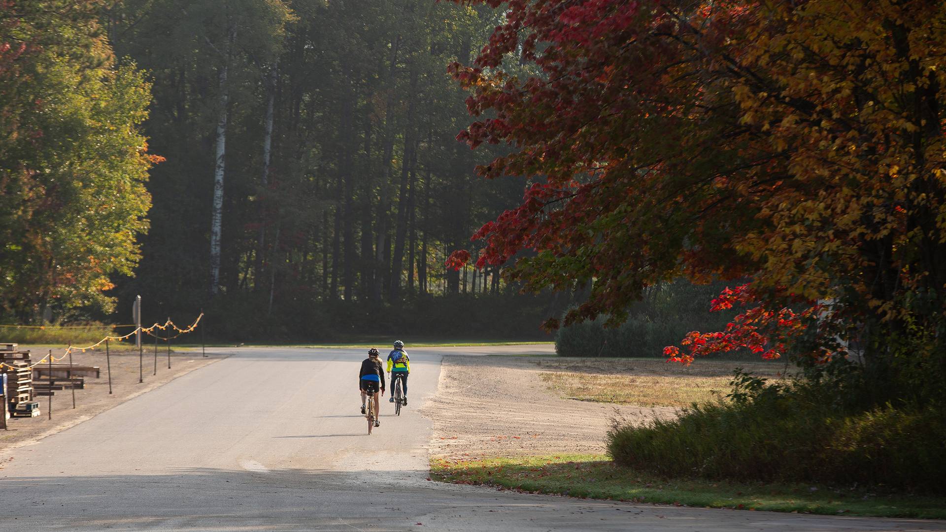 Two bikers on the road