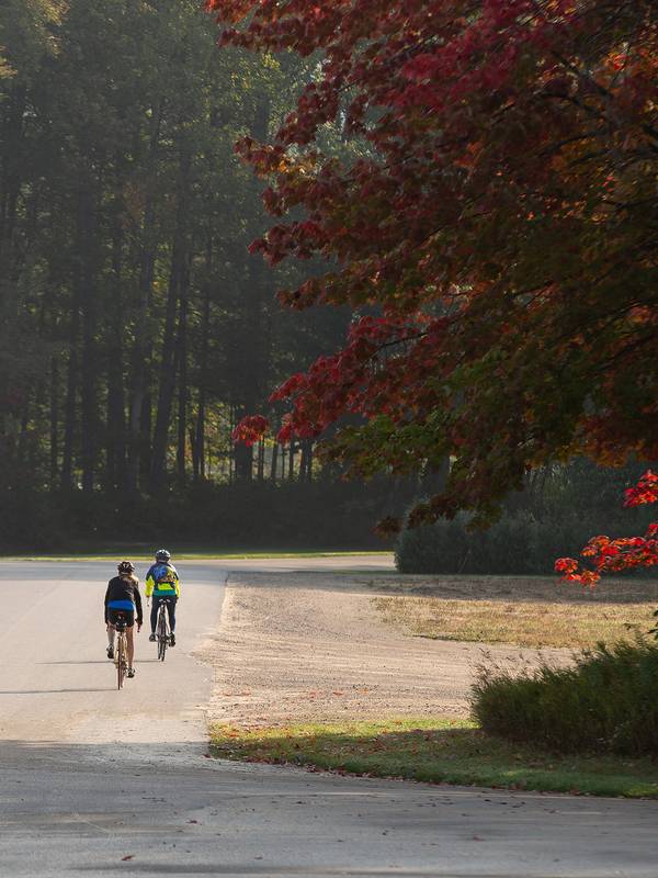Two bikers on the road