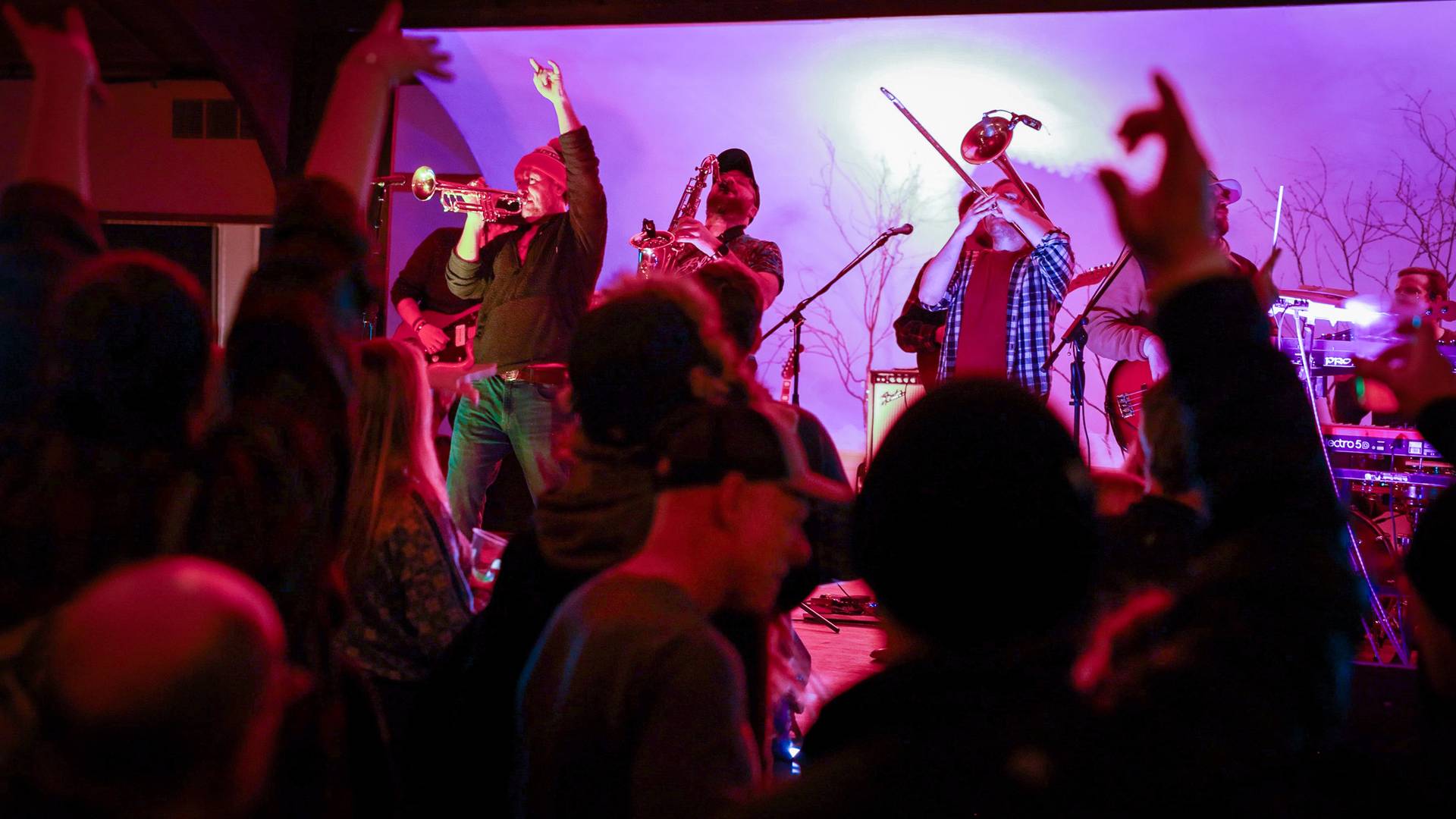 Galtic Sherpas playing in the Zoo Bar at The Highlands