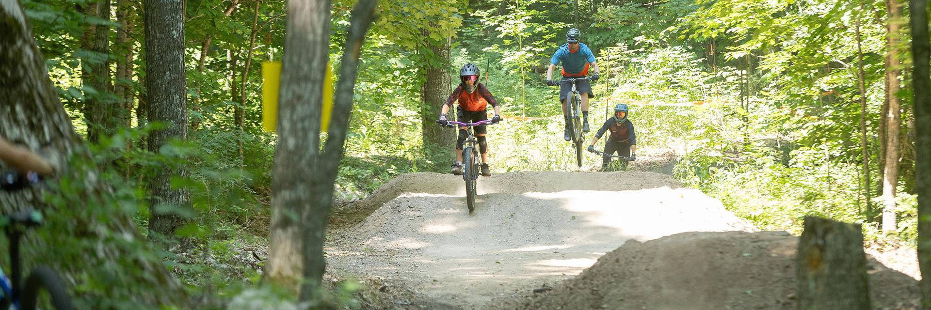 A family of mountain bikers on rollovers