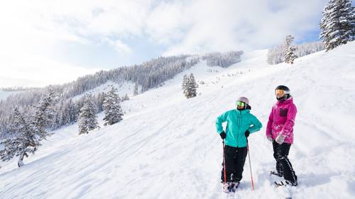 Skiers on the top of a mountain