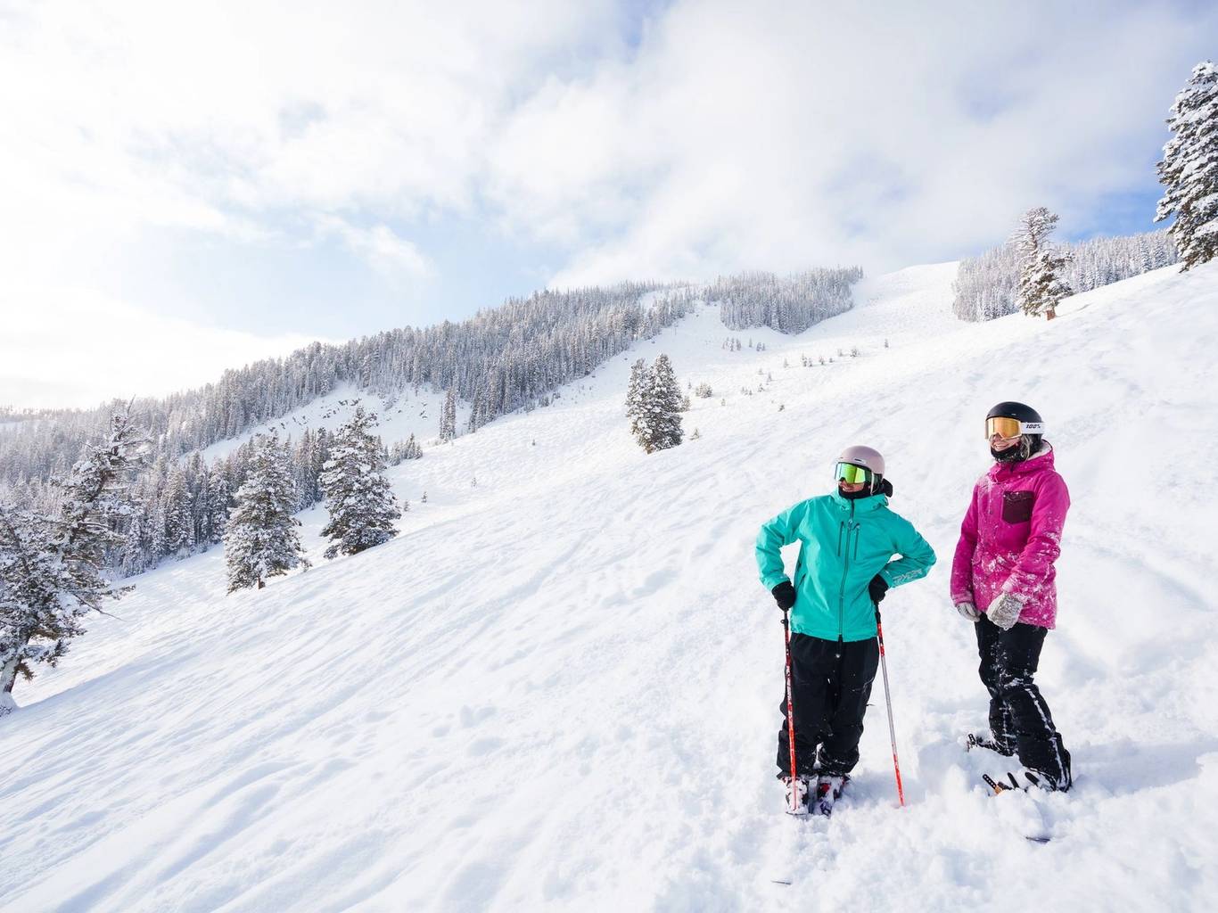 Skier and snowboarder in powder snow