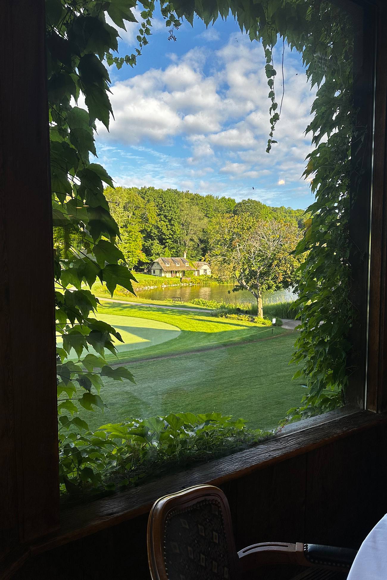 A window view of The Highlands grounds during summer
