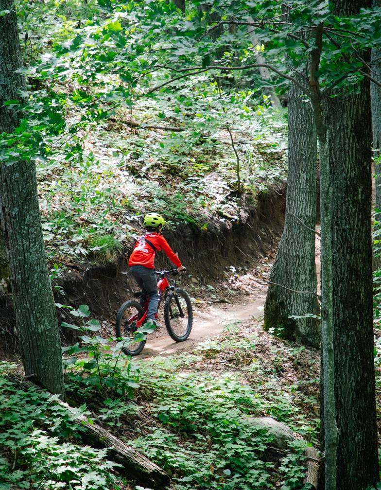 A mountain biker on a trail
