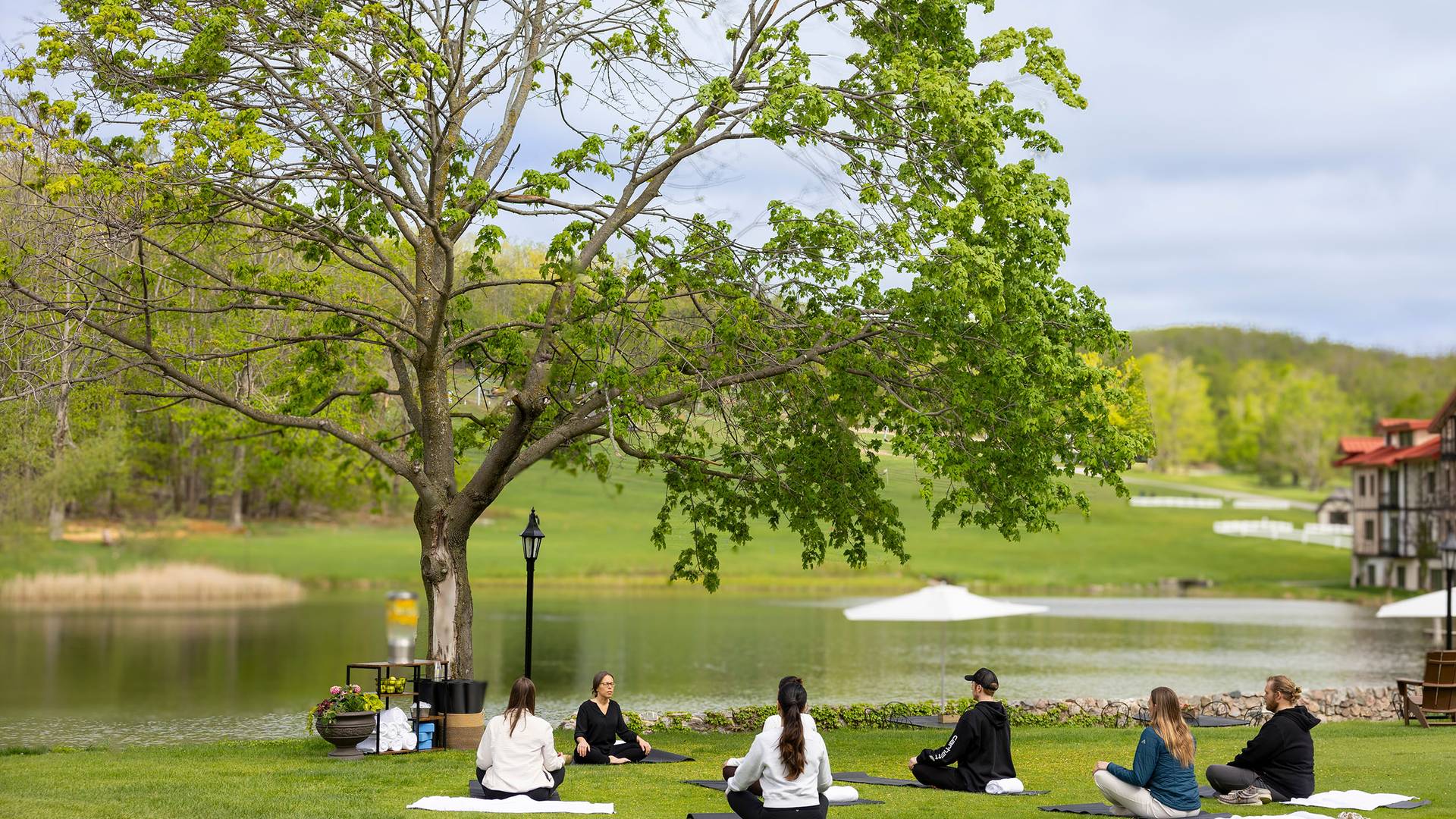 A group of people participating in yoga on the lawn