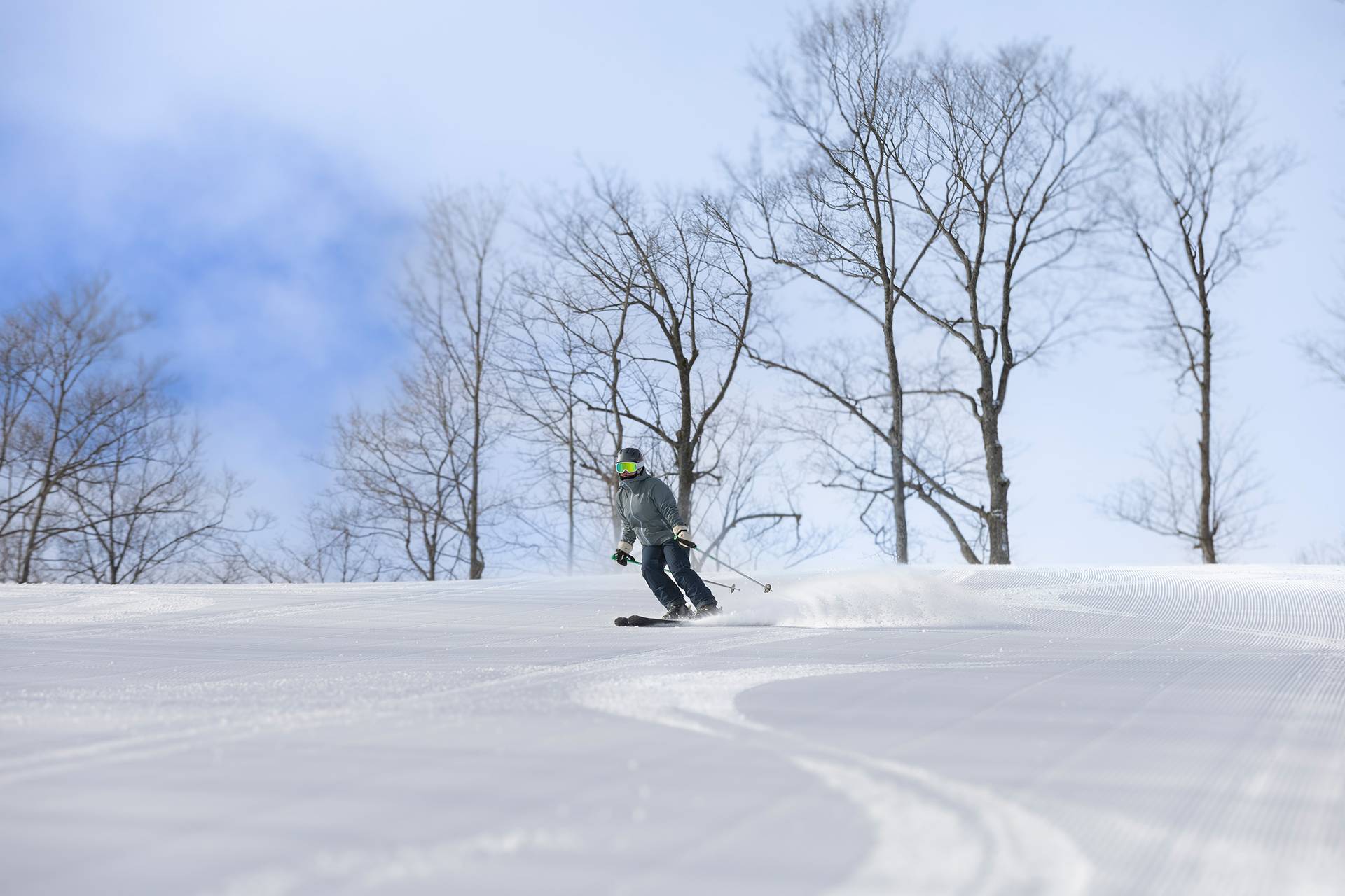 A skier on the slopes