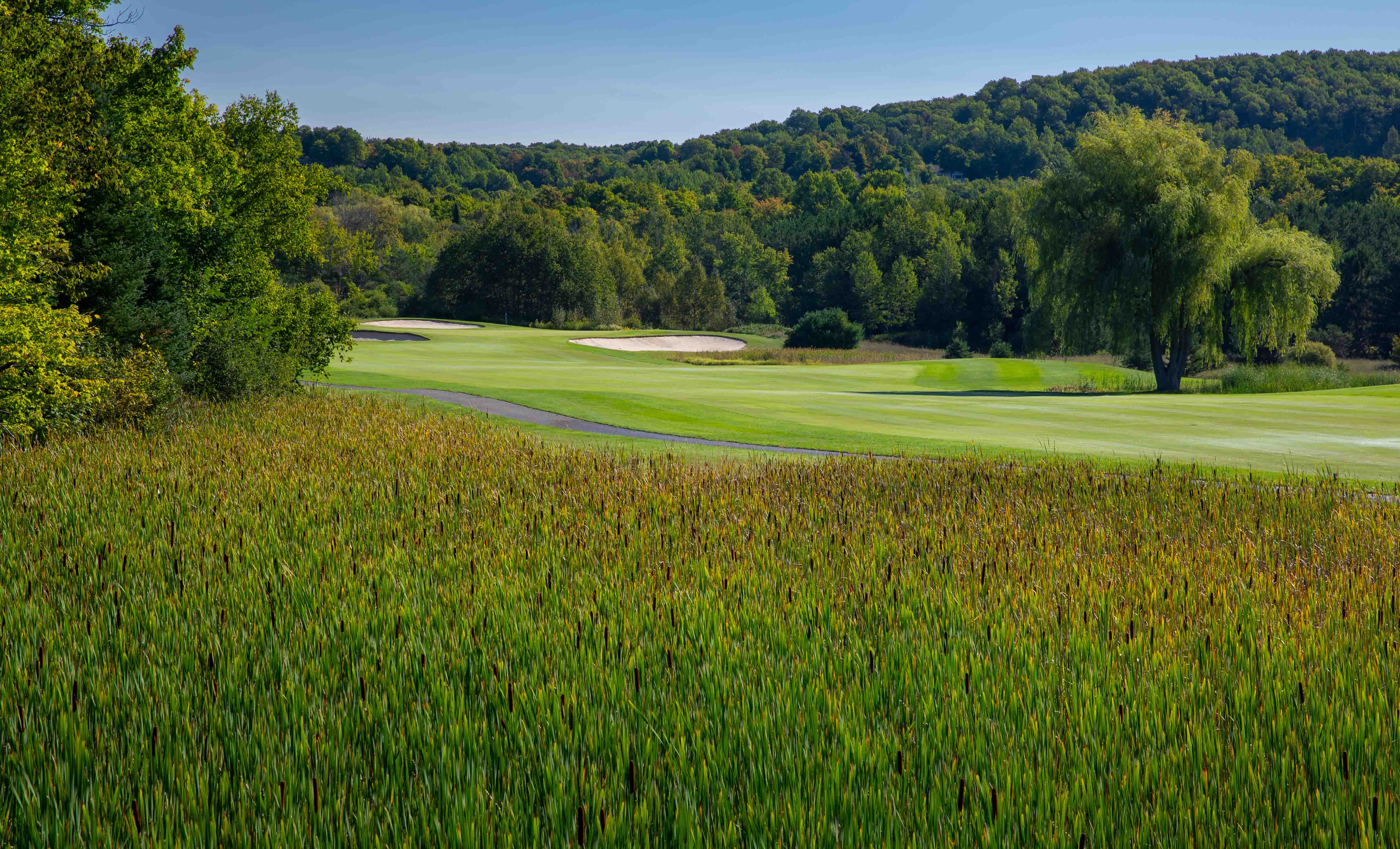 The Moor golf course