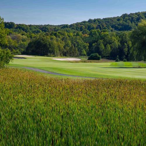 The Moor golf course