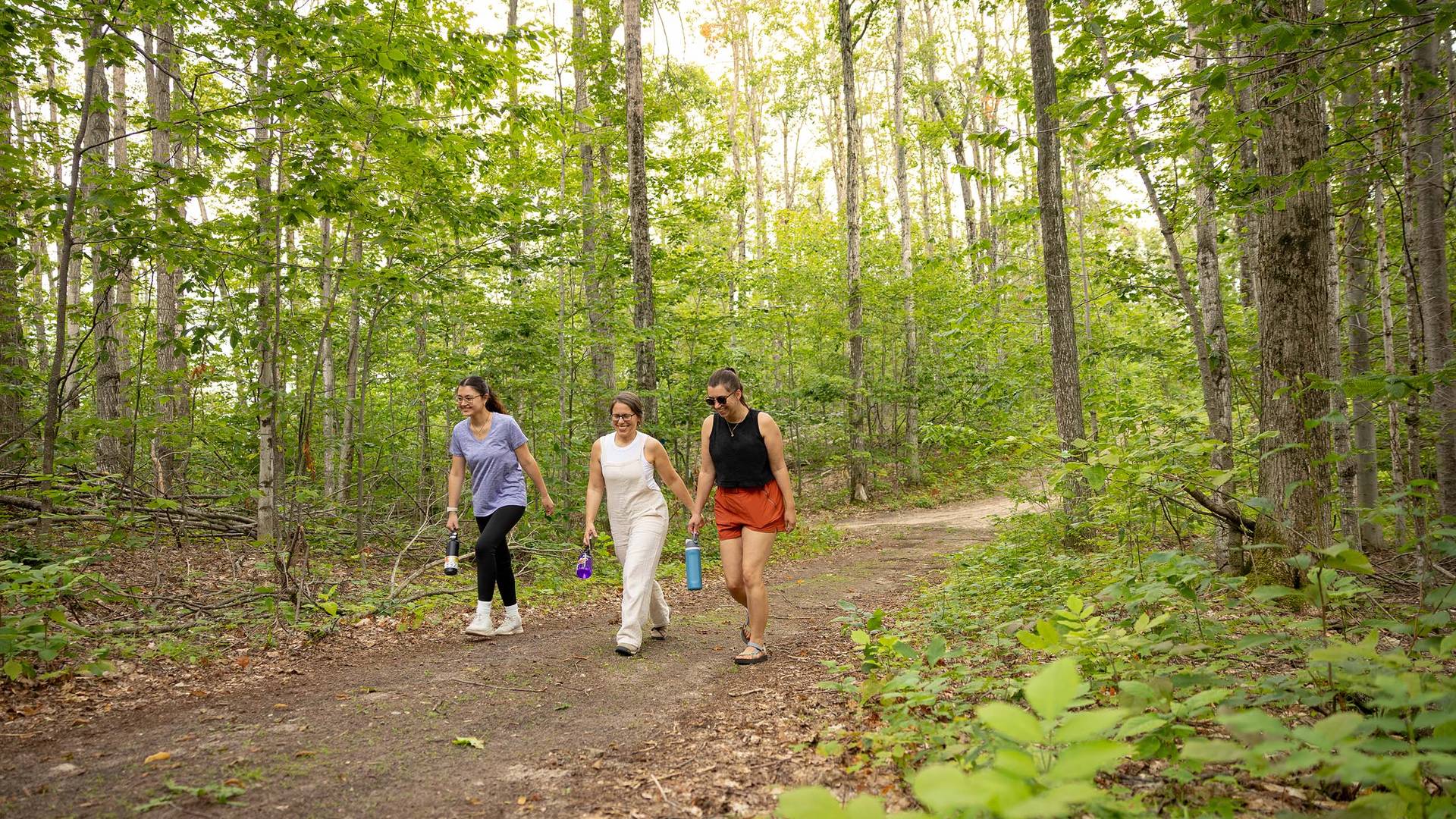 A group hiking in the woods