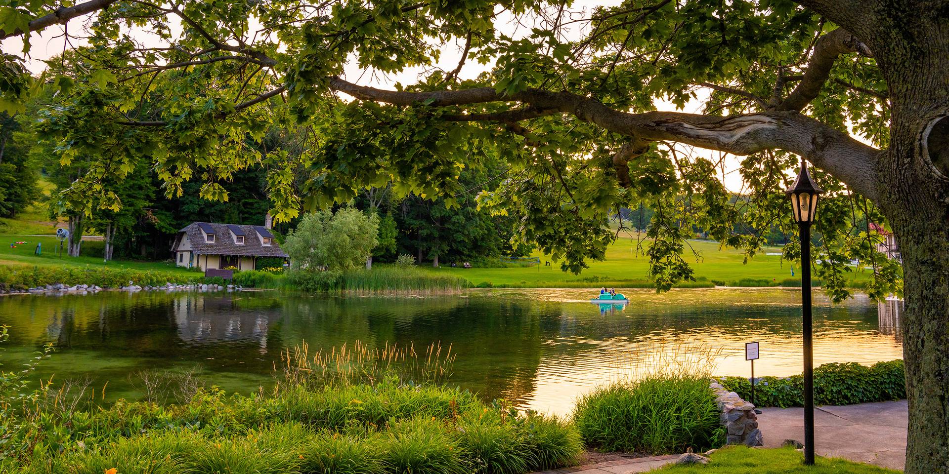 The Main Lodge pond in summer