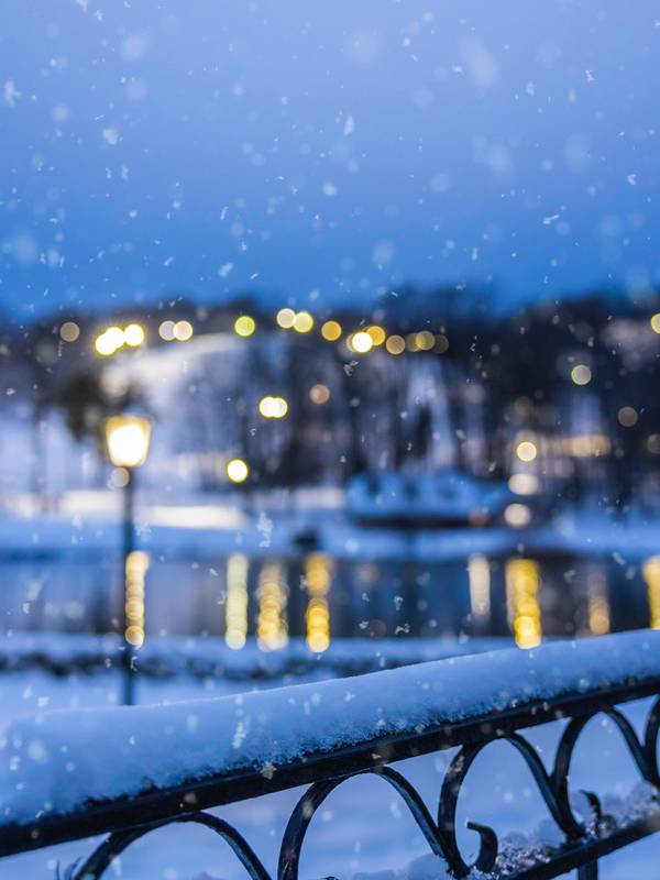 An image of railing covered in snow with a pond in the background
