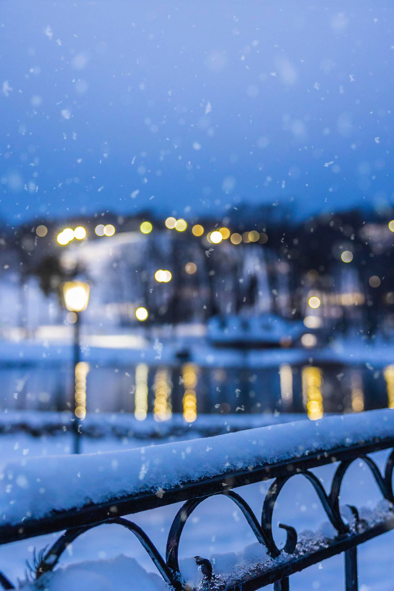 An image of railing covered in snow with a pond in the background