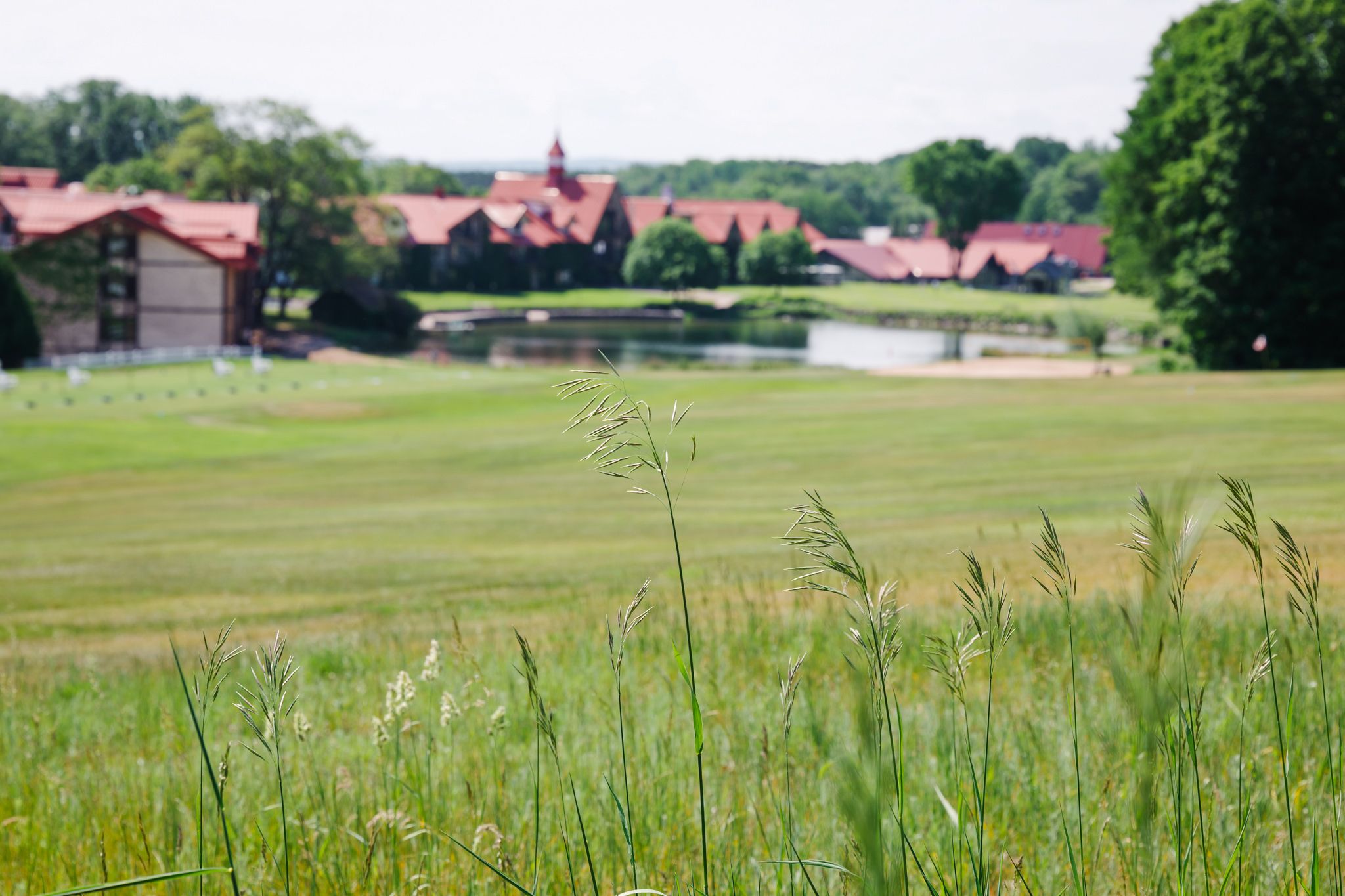 The Highlands Main Lodge exterior and pond in summer