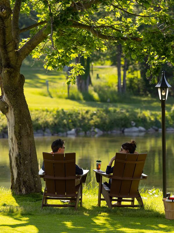 A couple sitting on chairs by the pond