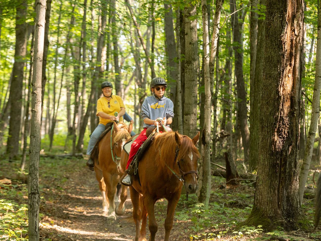 A group on a horseback trail ride