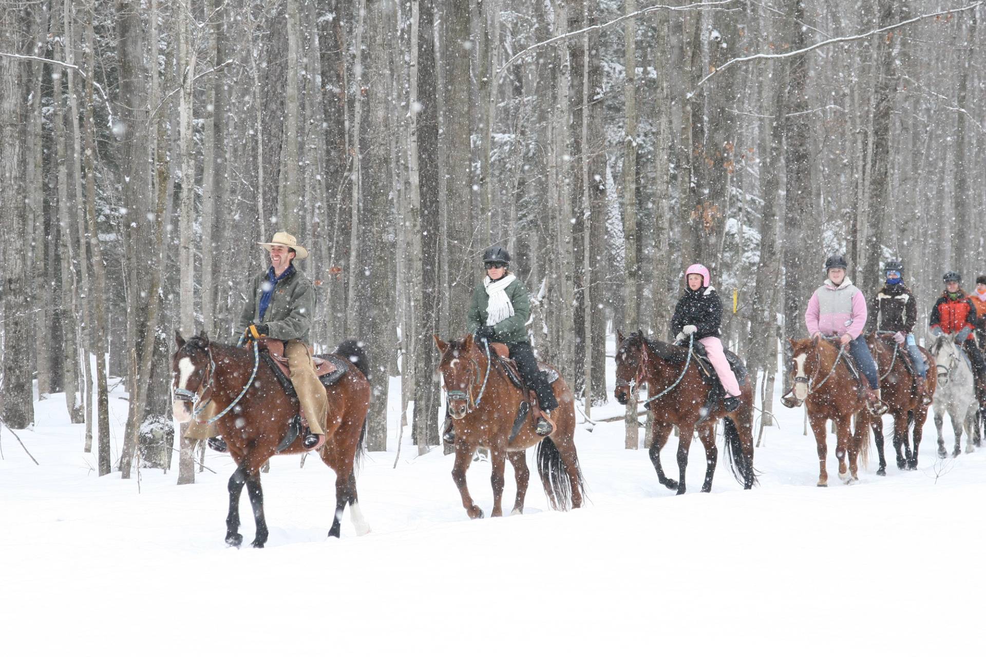 Horseback trail rides at The Highlands