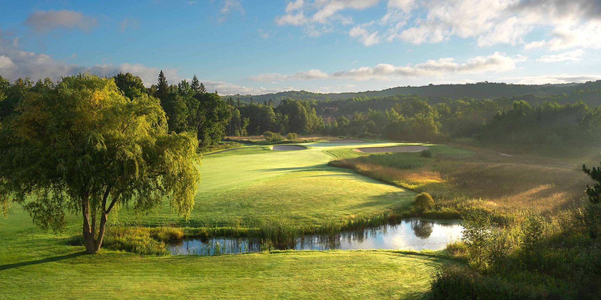 The moor golf course