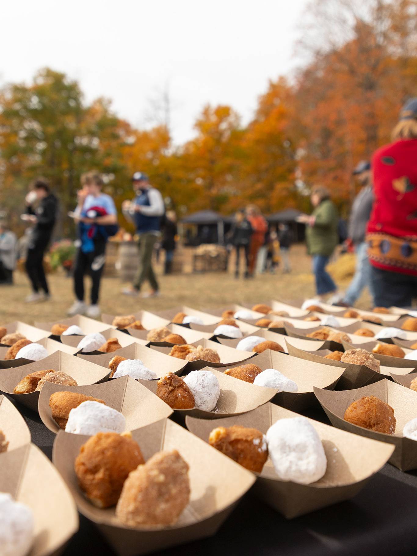 A group of people milling about at The Highlands Harvest Fest