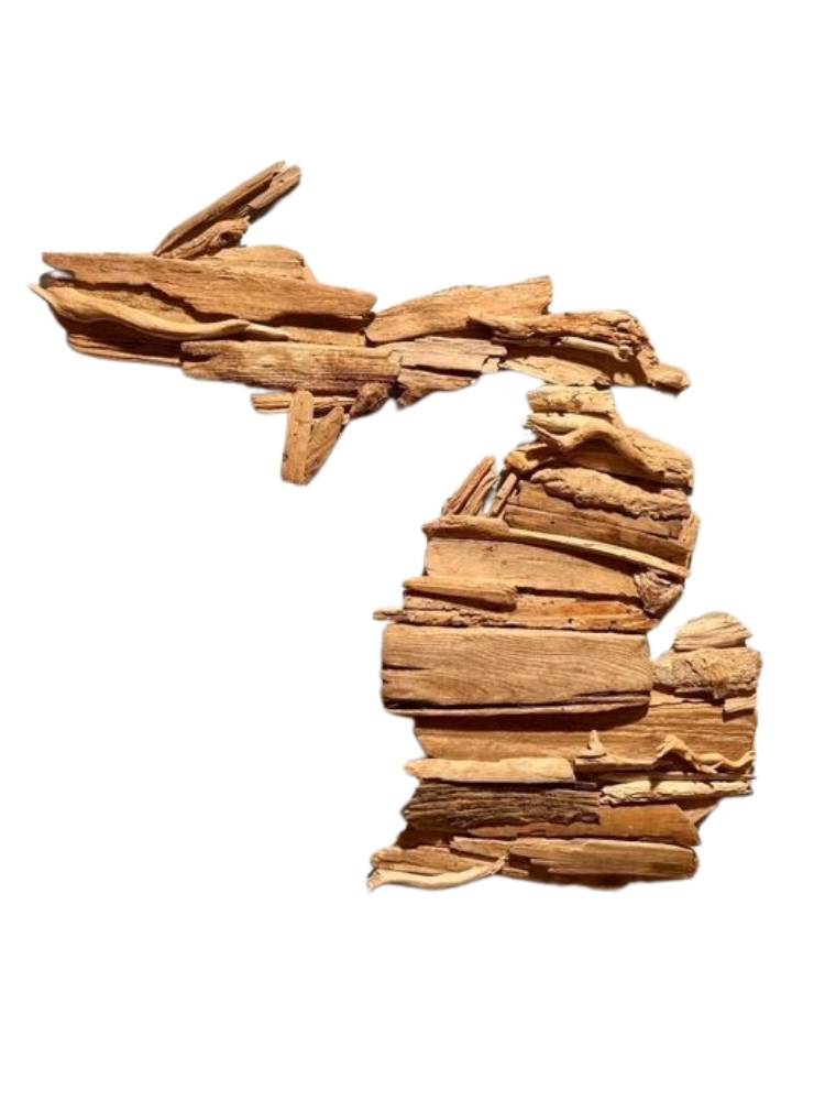 The State of Michigan in driftwood