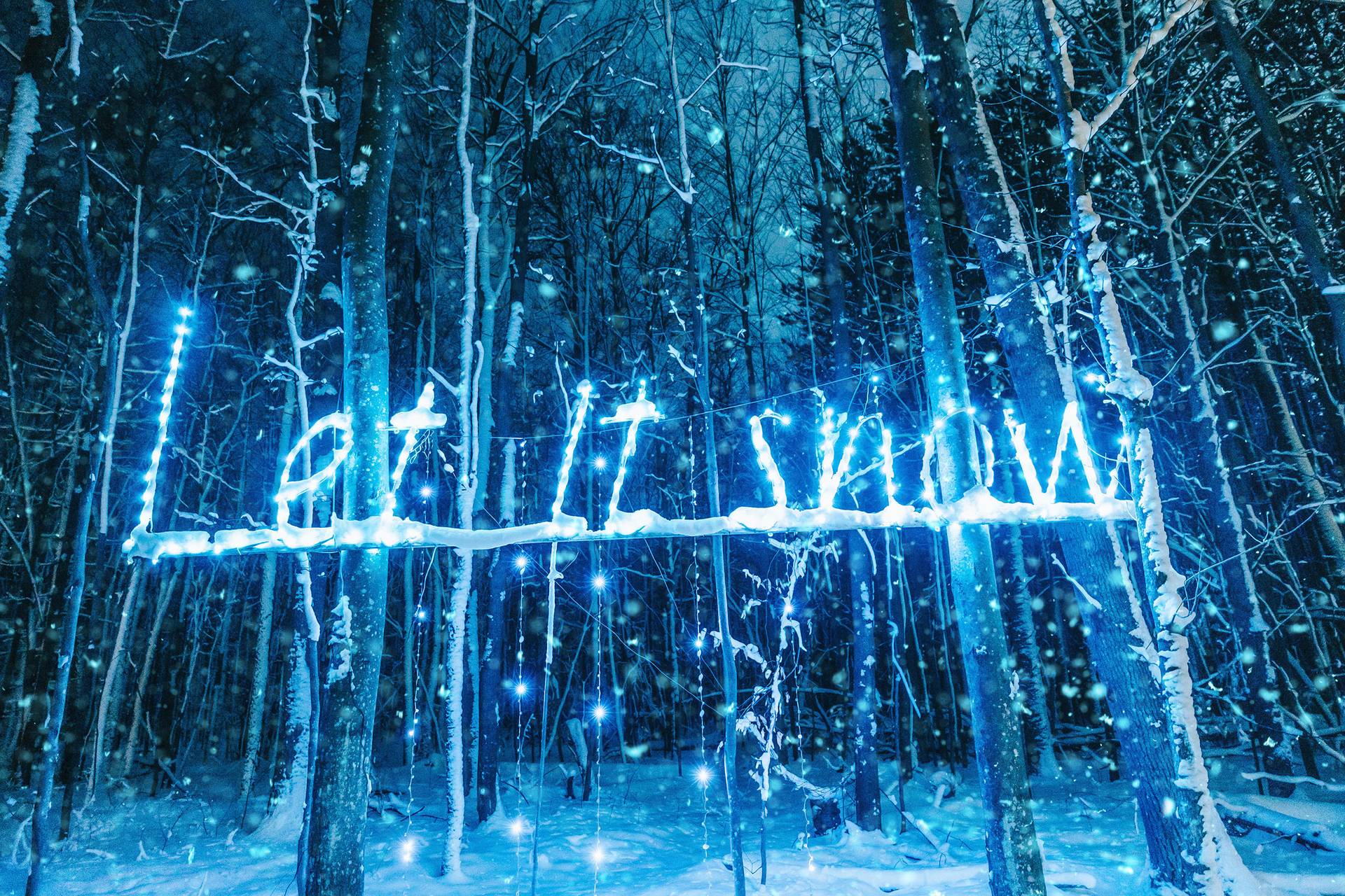 'Let It Snow' Interactive Sign on The Highlands Enchanted Trail