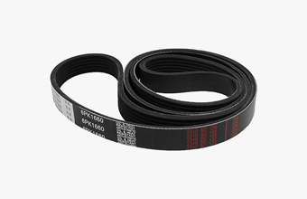 Serpentine Belt