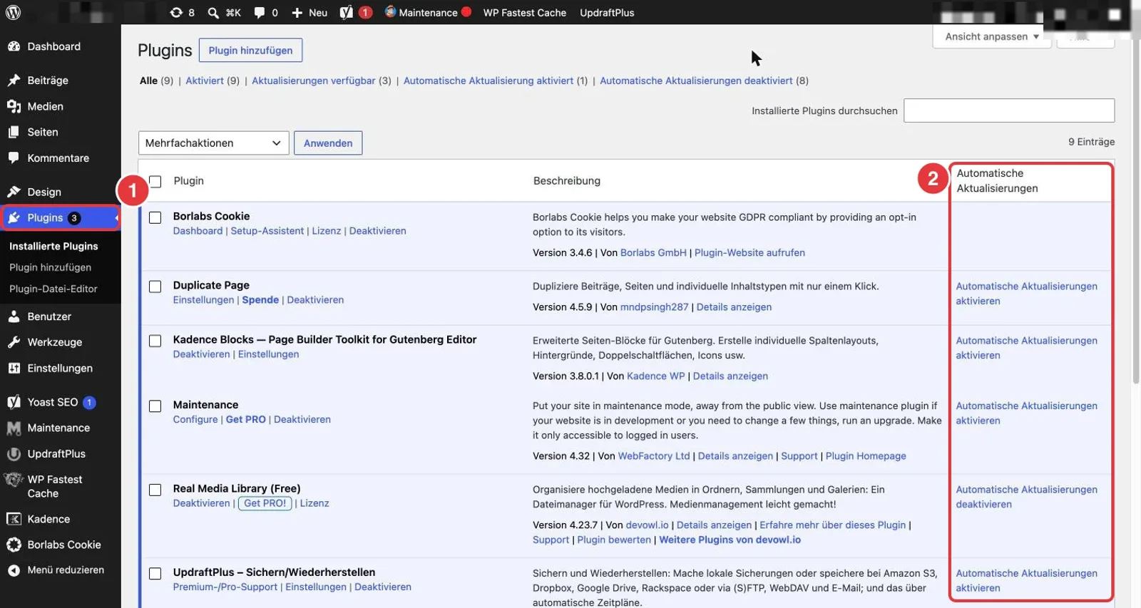 WordPress-Backend, Plugin-Übersicht: links der Menüpunkt Plugins, rechts die Spalte Automatische Aktualisierungen mit dem Link Automatische Aktualisierungen aktivieren bei fast jedem Plugin, beides rot markiert