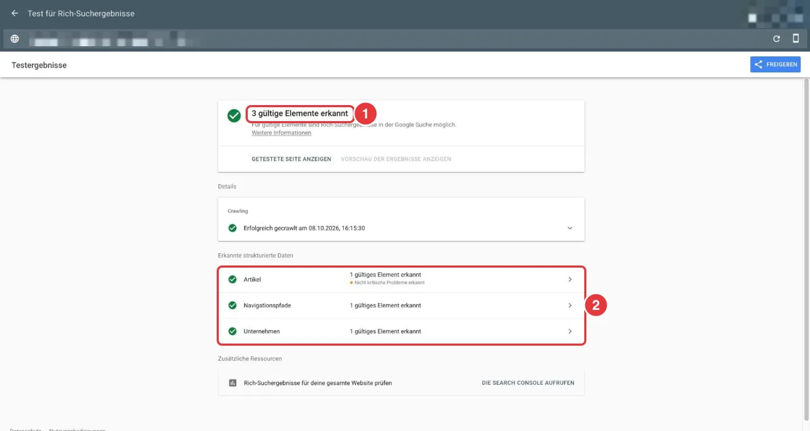 Google Test für Rich-Suchergebnisse mit erkannten Daten zu Artikel, Navigationspfaden und Unternehmen, URL verpixelt