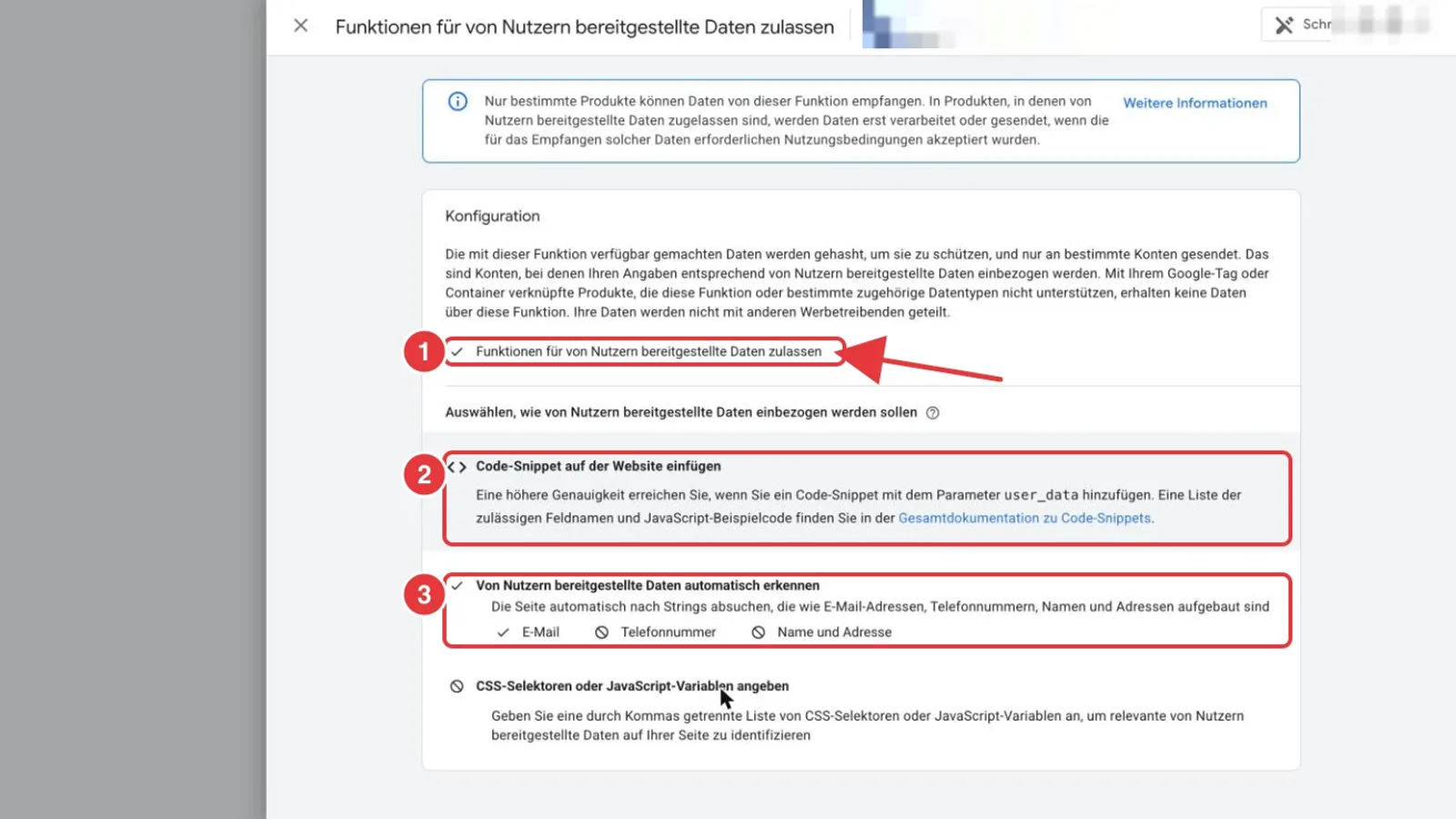 Google Tag Manager, Konfiguration der von Nutzern bereitgestellten Daten: das Häkchen zum Zulassen, das Code-Snippet und die automatische Erkennung sind rot markiert