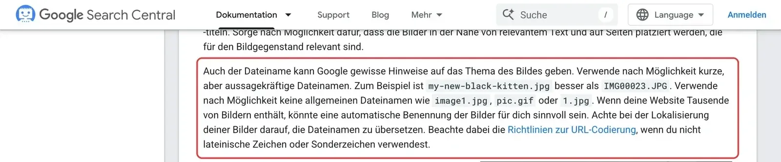 Google Search Central, Bilder-SEO: der Absatz zum Dateinamen mit dem Beispiel, dass my-new-black-kitten.jpg besser ist als IMG00023.JPG, ist rot umrahmt