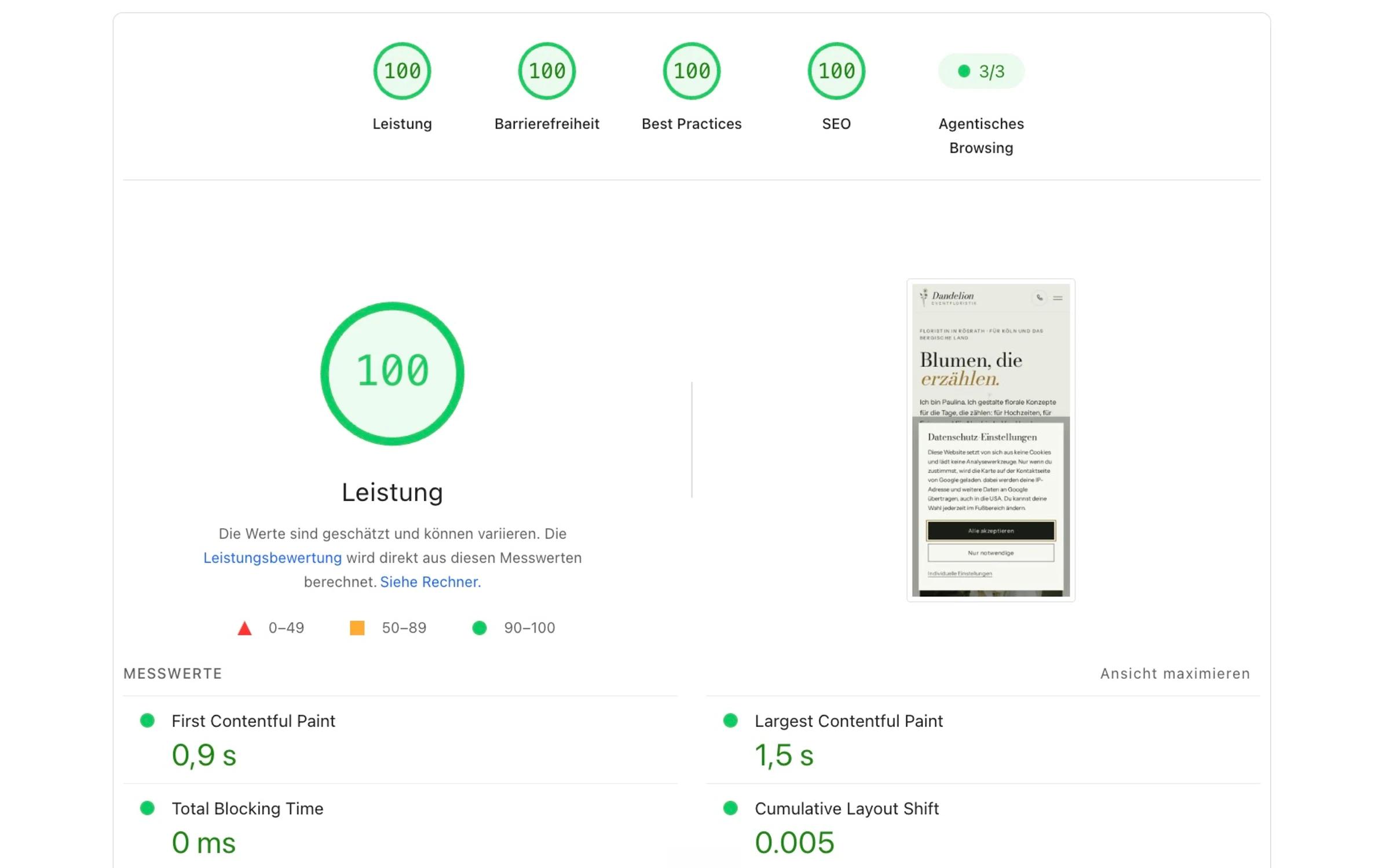 PageSpeed-Bericht mit vier grünen Hundertern und den Messwerten