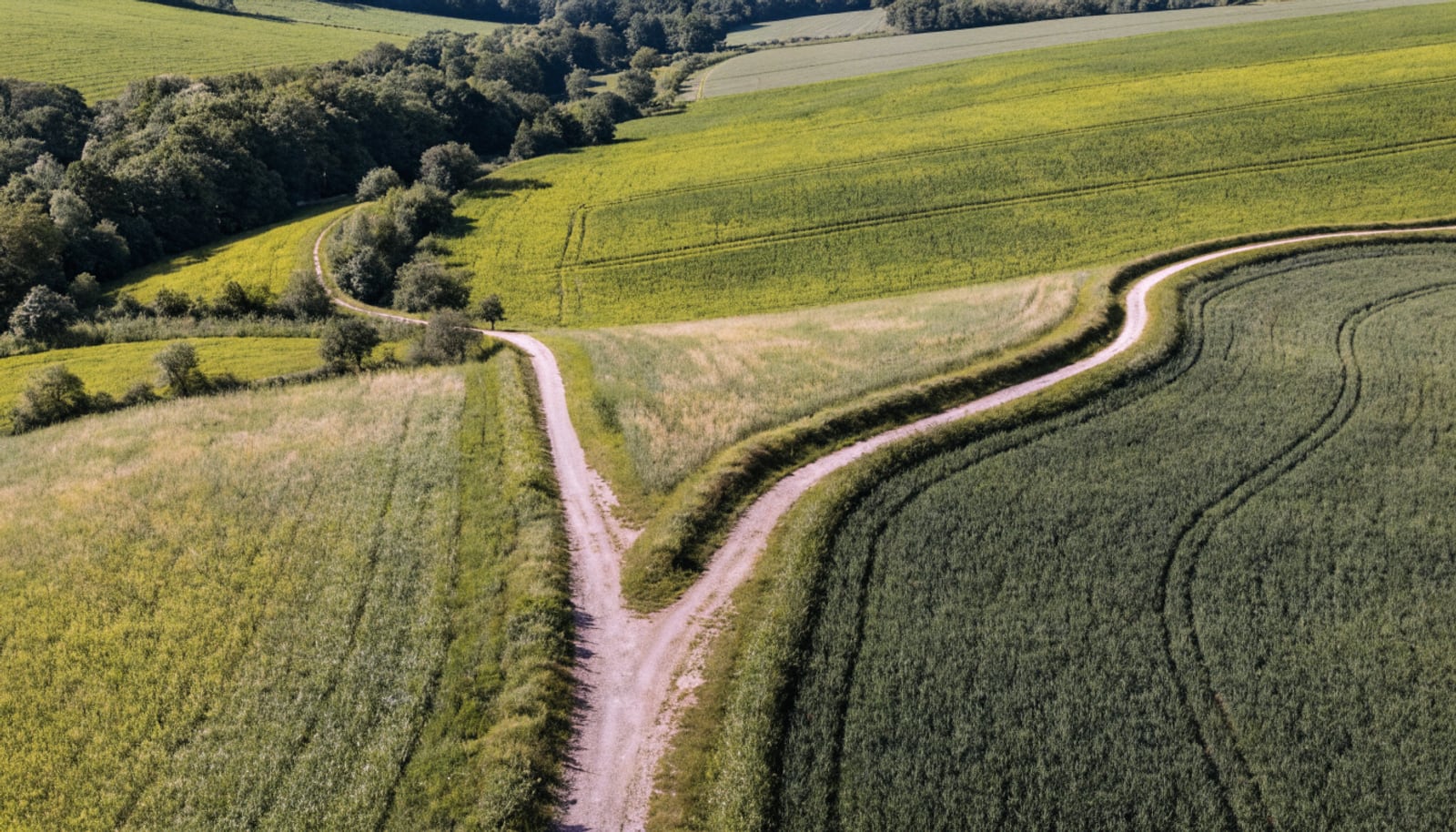 Zwei Bildschirme nebeneinander mit zwei verschiedenen Kampagnentypen