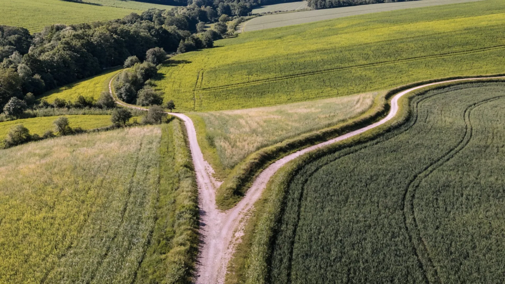 Zwei Bildschirme nebeneinander mit zwei verschiedenen Kampagnentypen