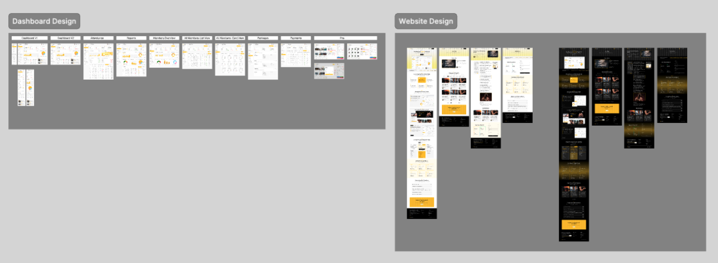 The full dashboard and website design boards laid out as artboards.