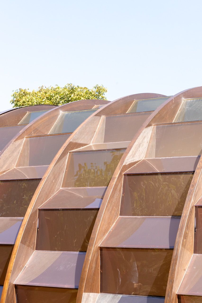 A wide-angle view of the Serpentine Pavilion in a park setting, showing its modern, curved design against a backdrop of trees and a blue sky.