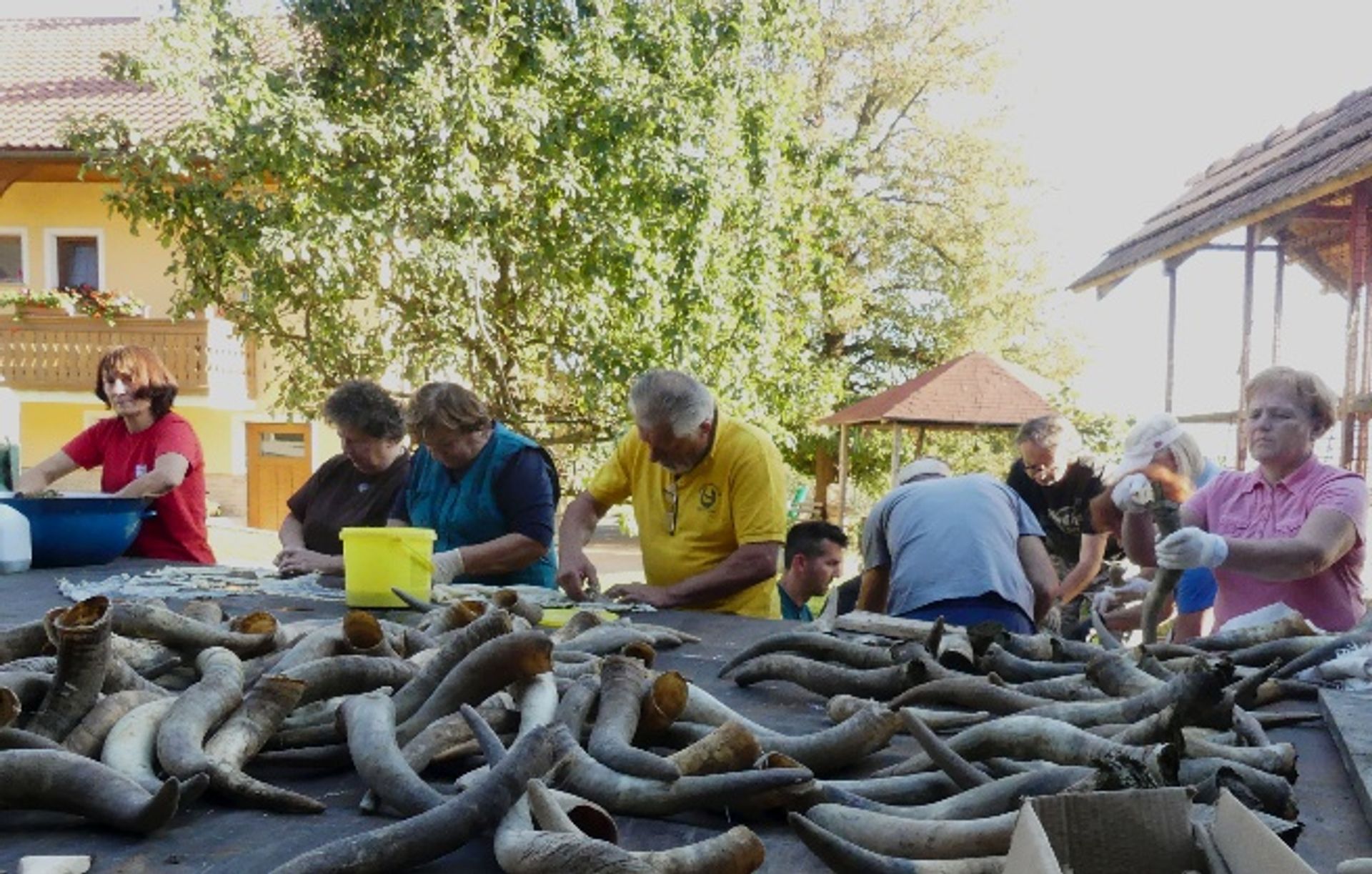 Delavnica priprave preparatov v Društvu Ajda Posavje