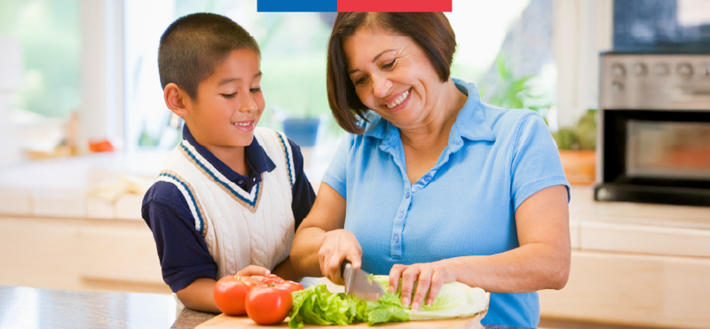 Un Chile Más Sano - Ministerio de Salud