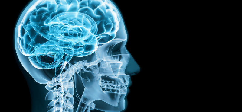 Sociedad Chilena de Ciencias Fisiológicas