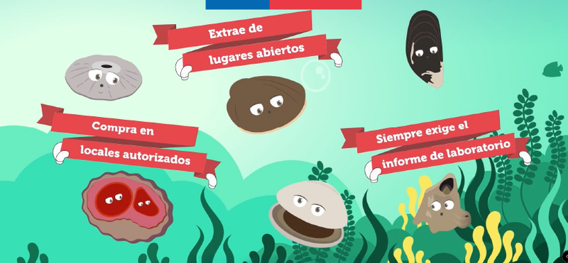 Marea Roja - Servicio de Salud Magallanes