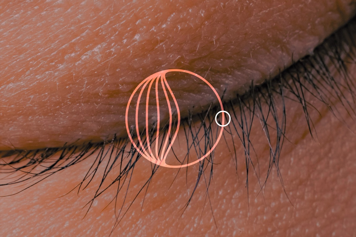 Vassiłina - Fragments