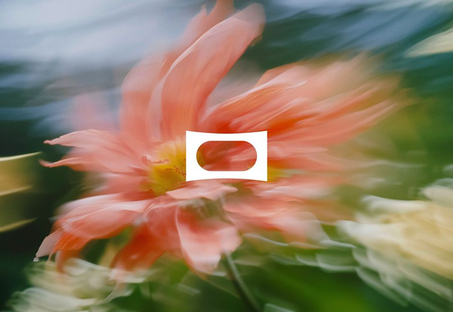 Carrot & Beer Festival Venice 