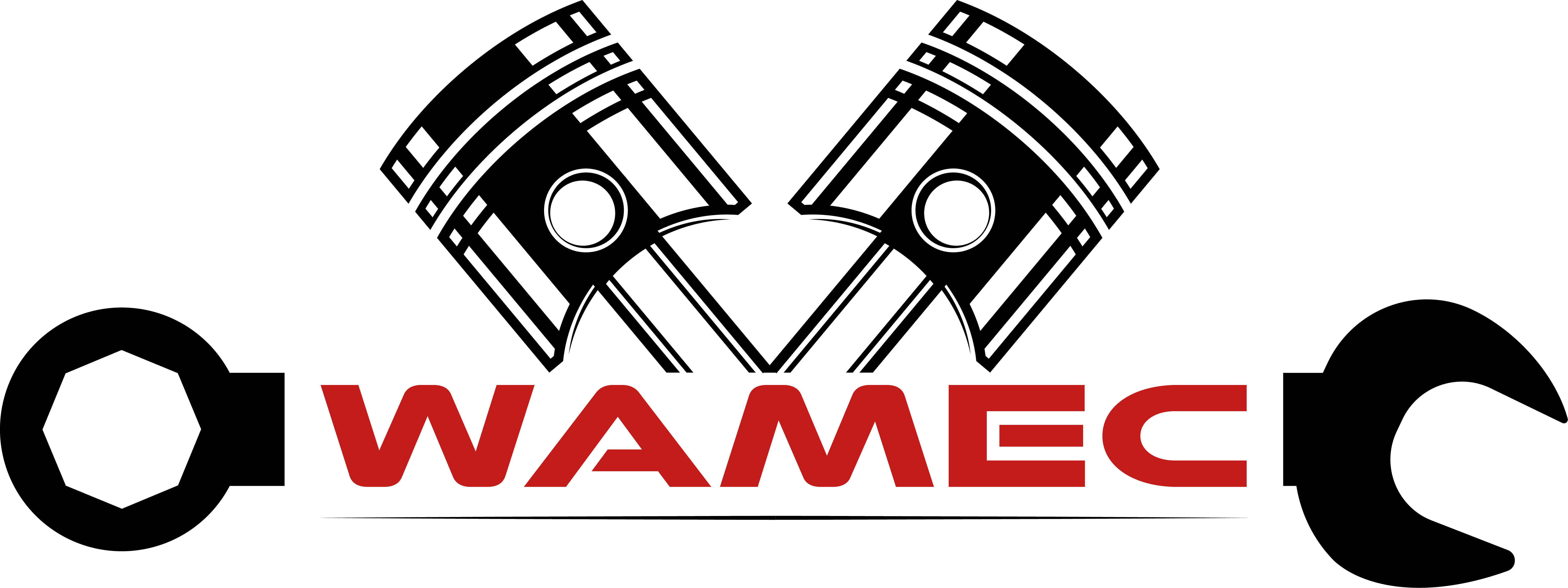 WAMEC Logo